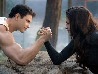Illustration for article titled The final Twilight movie is like a porn film with action figures